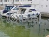 Fiche technique SEALINE 330 STATESMAN