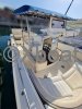Bateau à Moteurs d'occasion WHITE SHARK 285