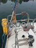 Fiche technique LEVRIER DES MERS