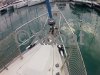 Fiche technique OCEANIS 411
