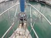 Fiche technique OCEANIS 411
