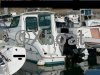 Fiche technique SESSA OCEAN 650