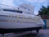Fiche technique SEALINE 240