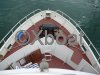 Fiche technique TRAWLER 72