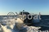 Fiche technique CATAMARAN MOTEUR TENDER CAT 45