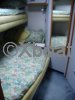 Fiche technique SEA RAY 480 SUNDANCER