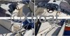 Fiche technique SEALINE 305 STATESMAN