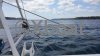 Fiche technique CATANA 39