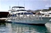 Bateau à Moteurs d'occasion GUY COUACH 1601 FLY
