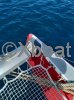 Fiche technique OCEAN VOYAGER 53