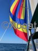 Fiche technique OCEANIS 36 CC