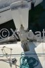 Fiche technique CORSAIR F24 MK2