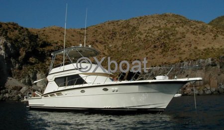 Bateau à Moteurs d'occasion HATTERAS 50 CONVERTIBLE
