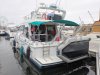 Bateau à Moteurs d'occasion YARDING YACHT 36 