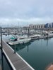 Bateau à Moteurs d'occasion YARDING YACHT 36 