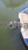 Fiche technique CHRIS CRAFT CORSAIR 25