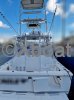 Fiche technique PHOENIX MARINE 32 TS