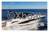 Bateau à Moteurs d'occasion GALEON 425 HTS