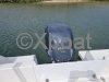 Bateau à Moteurs d'occasion PACIFIC CRAFT 700 SUN CRUISER
