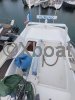 Bateau à Moteurs d'occasion POWLES 36+2