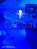 Bateau à Moteurs d'occasion GOBBI 44 SPORT