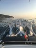 Catamaran d'occasion LAGOON POWER 43