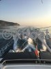 Catamaran d'occasion LAGOON POWER 43