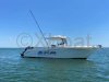 Bateau à Moteurs d'occasion SAN REMO 865 T TOP