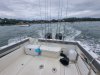 Bateau à Moteurs d'occasion SAN REMO 865 T TOP