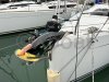 Voilier d'occasion HANSE 348