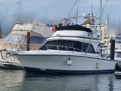 Bateau à Moteurs d'occasion BLACKFIN 38 CONVERTIBLE