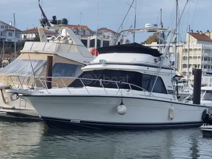Bateau à Moteurs d'occasion BLACKFIN 38 CONVERTIBLE
