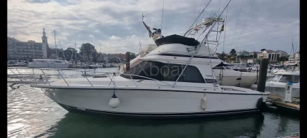 Bateau à Moteurs d'occasion BLACKFIN 38 CONVERTIBLE