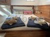 Catamaran d'occasion KNYSNA 500 SE