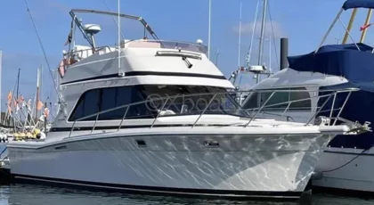 Bateau à Moteurs d'occasion RIVIERA 33 FLYBRIDGE