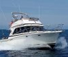 Bateau à Moteurs d'occasion RIVIERA 33 FLYBRIDGE