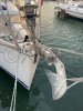 Voilier d'occasion DUFOUR 385