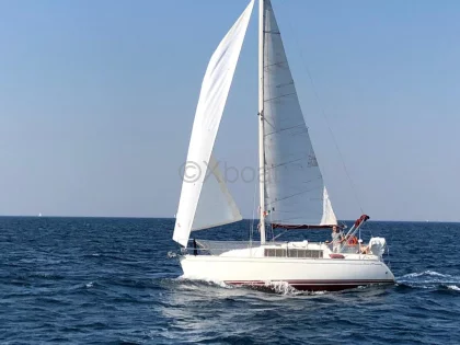 DELPHIA 29