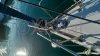 Voilier d'occasion DUFOUR 40 PERFORMANCE