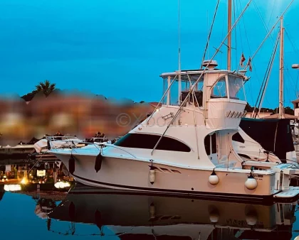 Bateau à Moteurs d'occasion LUHRS 36 CONVERTIBLE