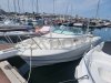 WHITE SHARK 236  se vende - for sale - à vendre d'occasion