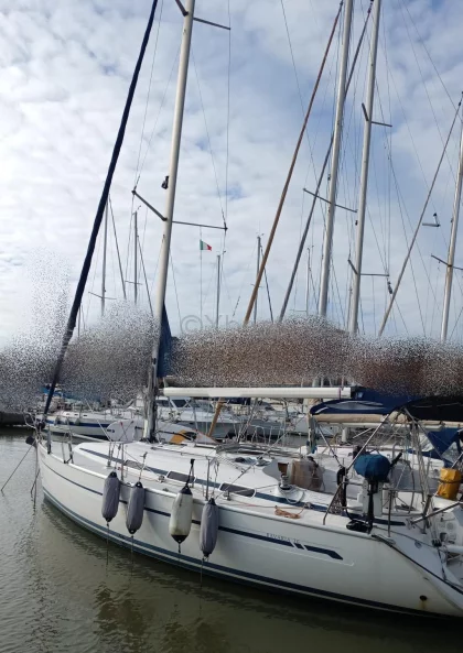 Voilier BAVARIA 36 CRUISER