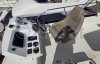 Bateau à Moteurs d'occasion JEANNEAU VELASCO 37