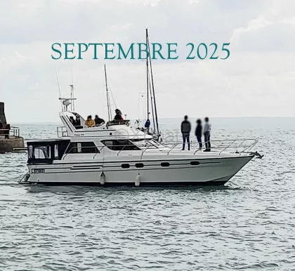 Bateau à Moteurs d'occasion PRINCESS 415