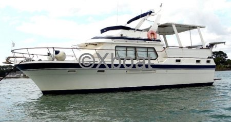 Bateau à Moteurs d'occasion TARQUIN TRADER 41 2 TRAWLER