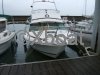 Fiche technique BERTRAM 26 CARIBBEAN