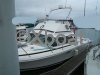 Fiche technique BERTRAM 26 CARIBBEAN